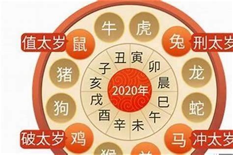 1974年属虎2024年运程|2024甲辰年指南 